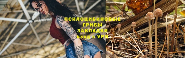 прущая мука Абаза